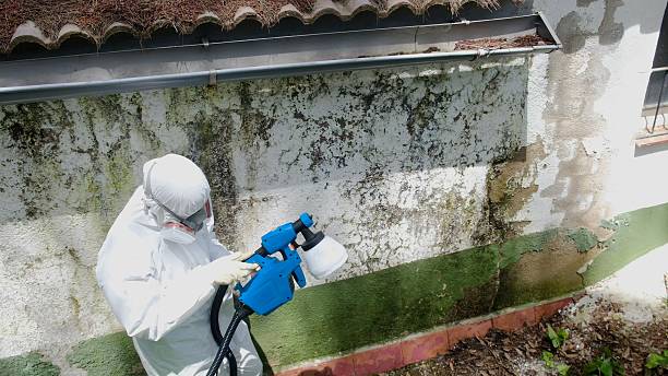 Top rated local Mold Remediation specialists in Bryn Athyn, PA
